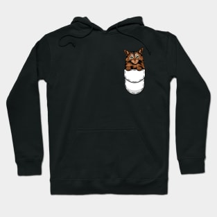 Funny Somali Pocket Cat Hoodie